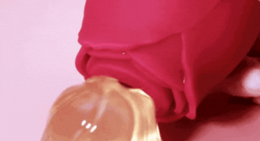 Para você que gosta de flôres a Mini Rosa Sugadora já é a preferida de todas.  Com 10 intensidades de ondas de pressão(sucção) + vibração, ela proporciona orgasmos intensos em até 3 min.  Ela é recarregável via USB e seu silicone é super macio.  Ela é pequeninha e super discreta(ninguém vai suspeitar que é um vibramor de sucção), perfeita para levar na bolsa para qualquer lugar.  Você pode usar sozinha na masturbação ou com sua parceria. Use com lubrificante para uma experiência ainda mais prazeroza.     Características: Confeccionada em silicone atóxico super macio;  Possui 10 intensidades de ondas de pressão(sucção);  Tamanho pocket, perfeita para levar na sua bolsa;  Apesar de ser bem pequena, tem um motor super potente;  Resistente à água para higienização (não submergir);  É recarregável através de cabo USB magnético.    Modo de Usar: Higienize sua Mini Rosa com Sensevibe Clear - ou sabonete neutro - antes de usar pela primeira vez.   Deixe seu vibro secar naturalmente em ambiente arejado ou, se preferir, seque com papel toalha.  É importante fazer essa higiene antes e após cada uso.   Depois do vibro estar completamente seco, faça a primeira carga obrigatória de 4h a 6h. Isso é essencial para o bom funcionamento do motor.  Para fazer o carregamento, é só encaixar a rosa em cima do suporte com carregador magnético.  Para ligar e desligar sua Mini Rosa, pressione o botão "Power" por aproximadamente 3 segundos.  Para alternar entre os 10 estágios de vibração, apenas aperte rapidamente o botão ''Power''.   Dicas de Uso: Separe cuidadosamente os lábios externos e internos, deixando à mostra o seu clitóris.  Passe lubrificante para maior conforto e prazer e, então, encaixe o vibrador de sucção no clitóris.  Você pode adequar a melhor posição e deixar o vibrador parado ou ficar fazendo leves movimentos para cima e para baixo.  Explore as sensações sozinha ou acompanhada!    Cuidados: Higienize antes e após o uso com Sensevibe Clear ou sabonete neutro; Não usar em regiões com inflamações, inchaços ou lacerações; Não compartilhe seu brinquedo com outras pessoas; Não guardar o produto completamente descarregado. O uso regular garante uma longa vida útil das baterias; Não use o produto quando estiver carregando; Não deixe em contato com líquidos durante o carregamento.   Indicações Técnicas: Primeira carga obrigatória de 04 horas. Isso garante o correto funcionamento do aparelho; Tempo de carregamento normal após o primeiro uso: 2 horas; Vibrador recarregável através do cabo USB magnético; Luz de led piscando: em carregamento. Luz de led acesa continuamente: carregado; Tempo de uso de até 1 hora.     Embalagens discretas e à prova de curiosos:  Nossa entrega é ágil e garantimos total segurança e privacidade para nossos clientes.  Todas nossas embalagens são discretas, podendo você receber em casa e/ou no  trabalho tranquilamente sem nenhuma referência à Day Sexy Sex Shop e/ou os produtos adquiridos.   Postagem dos produtos em até 01 dia útil após confirmação de pagamento. 